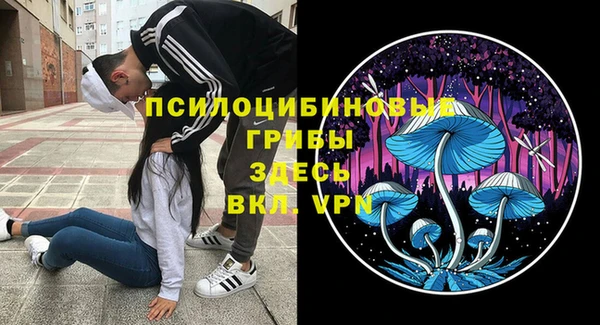 а пвп мука Кинешма