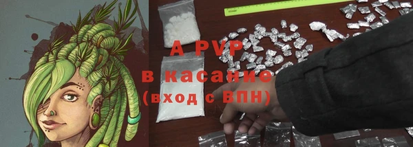 индика Козельск
