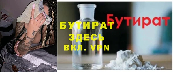 индика Козельск