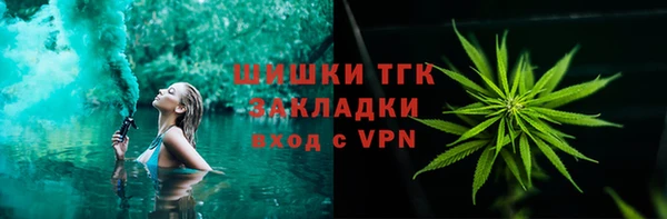прущие грибы Козловка
