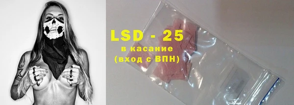 прущие грибы Козловка