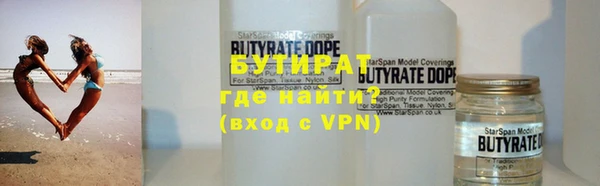 индика Козельск
