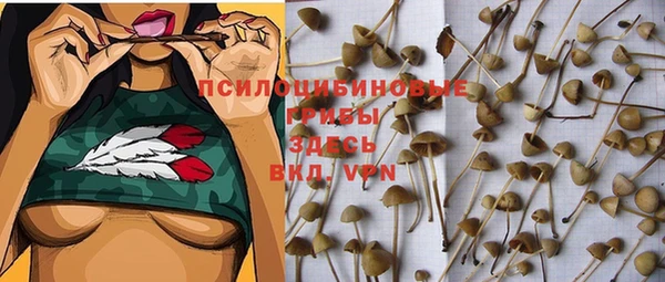 индика Козельск