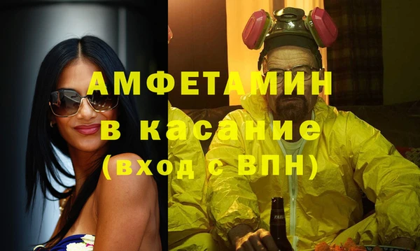 индика Козельск