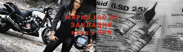 прущие грибы Козловка