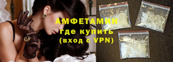 индика Козельск