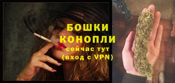 прущие грибы Козловка