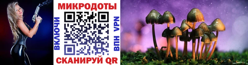 Галлюциногенные грибы Magic Shrooms  Купить закладки  Ачхой-Мартан 
